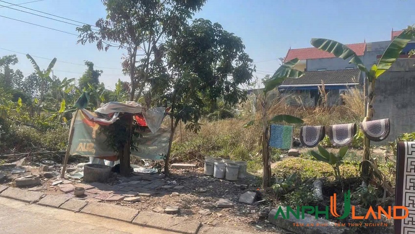 Chủ cần tiền bán gấp siêu phẩm khu phân lô Bấc Vang, phường Thuỷ Nguyên, TP Hải Phòng